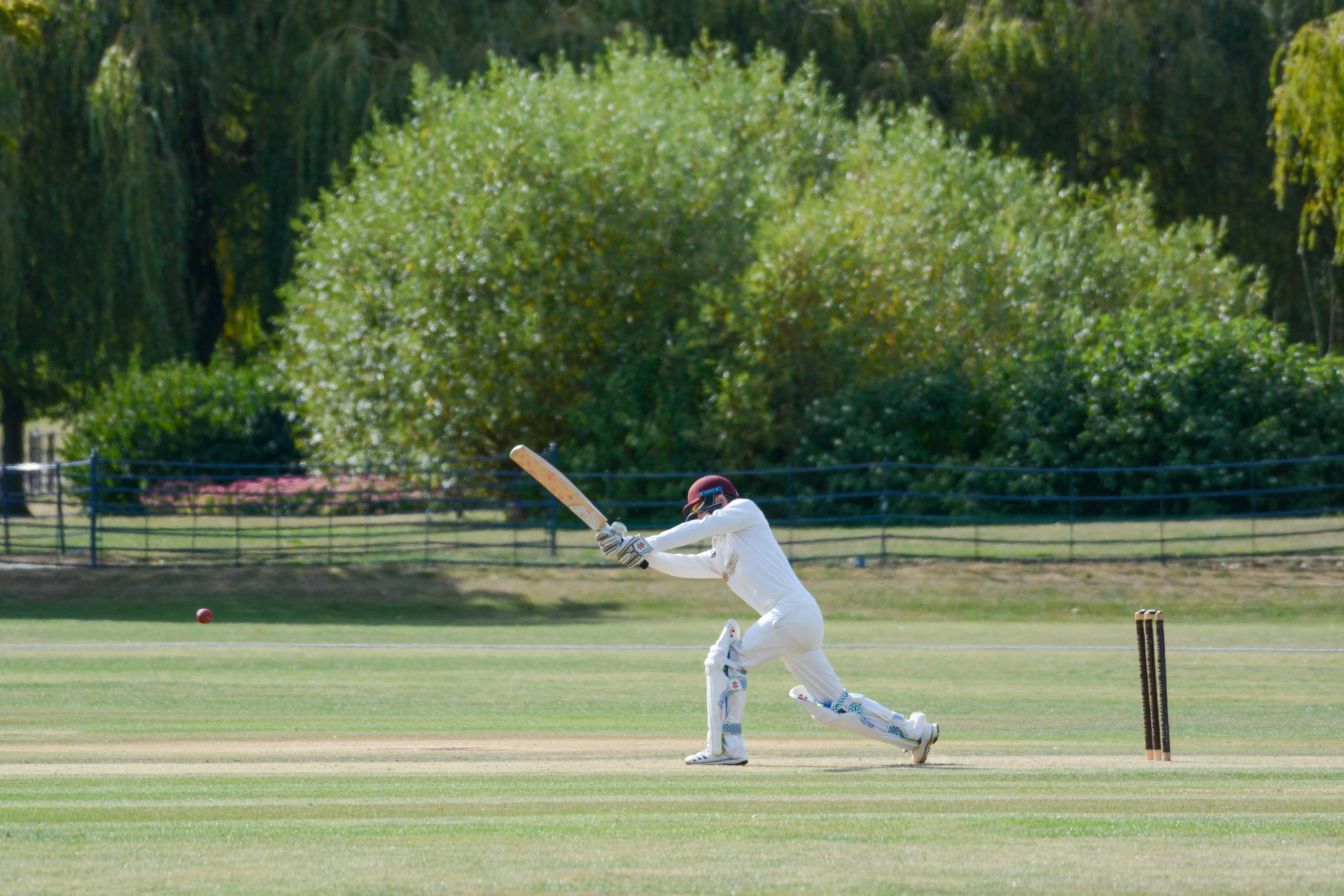 Cricket player